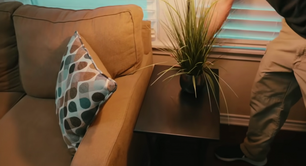 Detecting camera in a plant